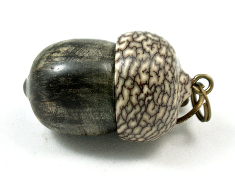 LV-4081  Buckeye Burl & Betelnut Acorn Pendant Box, Charm, Pill Holder-SCREW CAP