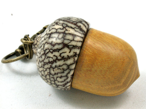 LV-4129  Osage Orange & Betel Nut Acorn Pendant Box, Keychain, Pill Fob-SCREW CAP