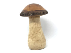 LV-4240  Bottlebrush & Birdseye Maple Wooden Mushroom Box, Pill Box, Secret Compartment-THREADED