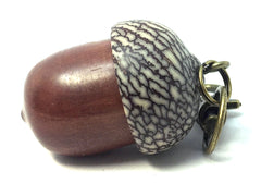 LV-4274 Manzanita & Betel Nut Acorn Pendant Box, Charm, Pill Holder-SCREW CAP