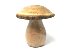 LV-4327  Golden Rain Tree cap with Birdseye Maple stalk Wooden Mushroom Keepsake Box, Pill, Jewelry Box-SCREW CAP