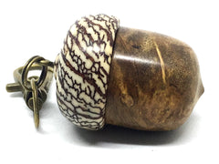 LV-4343  Pollyanna Burl & Betel Nut Acorn Pendant Box, Charm, Pill Holder-SCREW CAP