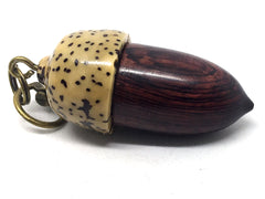 LV-4344 Camatillo & Yollilo Palm Nut Acorn Pendant Box, Charm, Pill Holder-SCREW CAP