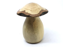 LV-4360 Canyon Live Oak cap & American Holly stalk mushroom threaded box