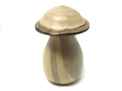 LV-4361 Canyon Live Oak cap & American Holly stalk Mushroom Threaded Box