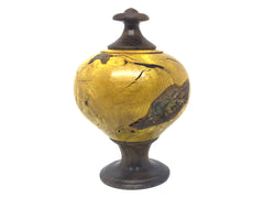 LV-4403 Agarita Burl with Black Chacate cap Pedestal Wooden Vase, Hollow Form-Threaded