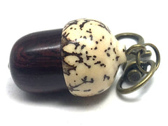 LV-4424  Camatillo & White Elephant Palm Nut  Acorn Box, Pill Holder, Compartment Pendant-SCREW CAP