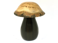 LV-4511   Golden Rain Tree cap and Black Chacate Mushroom Threaded Box from, Jewelry Box, Pill Box-SCREW CAP