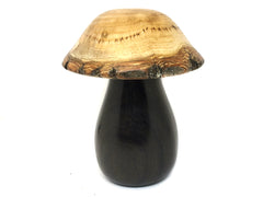 LV-4511   Golden Rain Tree cap and Black Chacate Mushroom Threaded Box from, Jewelry Box, Pill Box-SCREW CAP