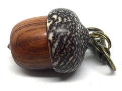 LV-4610 Acorn Pendant Box, Charm, Pill Holder from Nicaraguan Cocobolo & Betelnut-SCREW CAP
