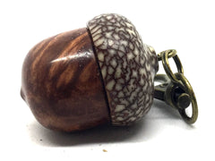 LV-4627 Redwood Burl & Betel Nut Acorn Pendant Box, Charm, Pill Holder-SCREW CAP