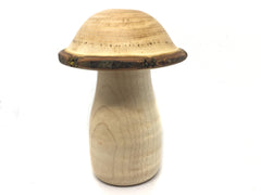 LV-4632  Golden Rain Tree cap with Hard Maple stalk Wooden Mushroom Keepsake Box, Pill, Jewelry Box-SCREW CAP