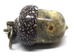 LV-4643 Acorn Pendant Box, Pill Fob from Buckeye Burl & Betel Nut-SCREW CAP