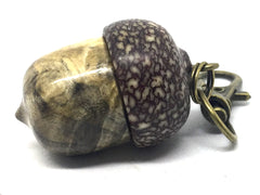 LV-4651 Acorn Pendant Box, Pill Fob from Buckeye Burl & Betel Nut-SCREW CAP