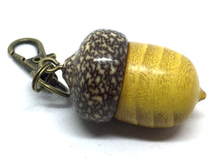 LV-4884 Osage Orange & Betel Nut Acorn Pendant Box, Keychain, Pill Fob-SCREW CAP