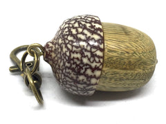 LV-4888 Verawood & Betelnut Acorn Box, Pill Holder, Compartment Pendant-SCREW CAP