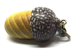LV-4894 Osage Orange & Betel Nut Acorn Pendant Box, Keychain, Pill Fob-SCREW CAP