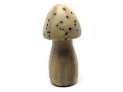LV-4895  Raffia Palm Nut with Pistachio Wood Mushroom Pill Holder, Needlecase-THREADED