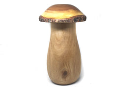 LV-4943 Red Maple & Willow Acacia Wooden Mushroom Keepsake Box - JUMBO!