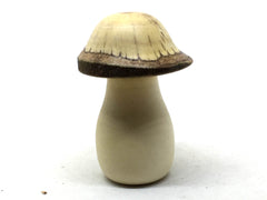 LV-4949 American Holly & Canyon Live Oak Wooden Mushroom Keepsake Box, Pill, Jewelry Box-THREADED
