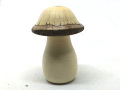 LV-4949 American Holly & Canyon Live Oak Wooden Mushroom Keepsake Box, Pill, Jewelry Box-THREADED