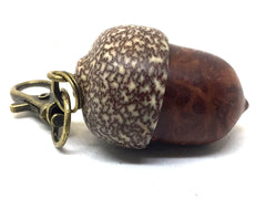 LV-4967 Redwood Burl & Betel Nut Acorn Pendant Box, Charm, Pill Holder-SCREW CAP