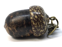 LV-4986 Black & White Ebony & Betelnut Acorn Pendant, Bag Charm, Secret Compartment-SCREW CAP