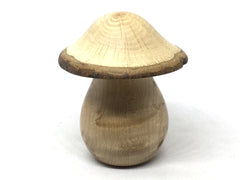 LV-5036 Birdseye Maple  & Valley Oak Wooden Mushroom Keepsake Box, Pill, Jewelry Box-THREADED