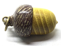 LV-5043 Osage Orange & Betel Nut Acorn Pendant Box, Keychain, Pill Fob-SCREW CAP