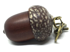 LV-5051  Manzanita  & Betelnut Acorn Pendant Box,Bag Charm, Keychain-SCREW CAP