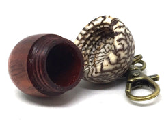 LV-5067  Wooden Acorn Pendant Box  from Cardinalwood & Betelnut-SCREW CAP
