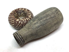 LV-5152  Betel Nut with California Buckeye Mushroom Pill Holder, Needlecase-THREADED CAP