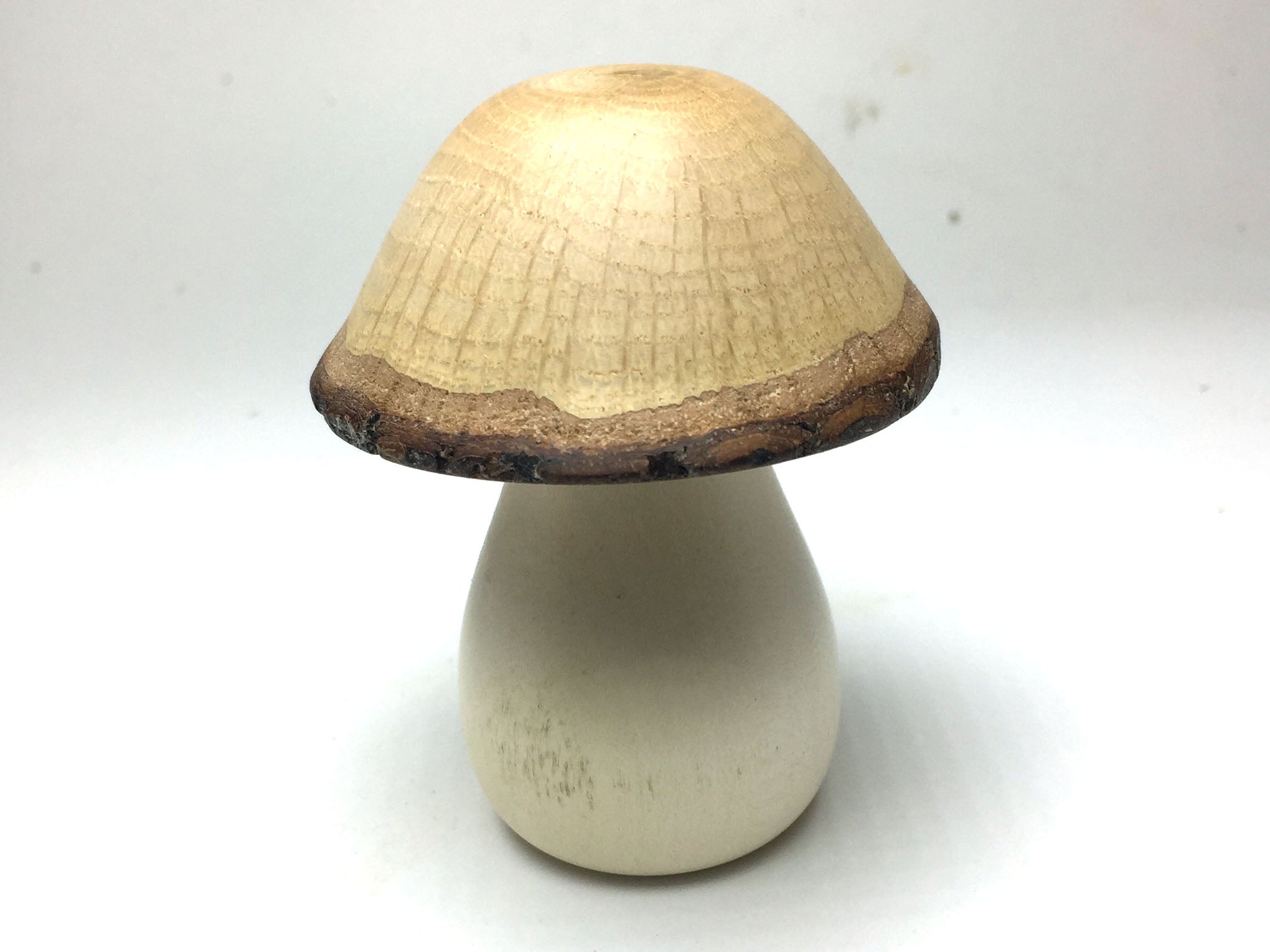 LV-5213 Canyon Live Oak cap & American Holly stalk Mushroom Threaded Box