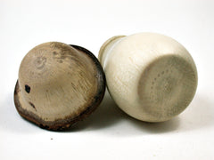 LV-1842 Holly & Live Oak Wooden Mushroom Trinket Box, Pill, Threaded Jewelry Box-SCREW CAP