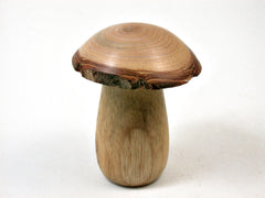 LV-3406 Threaded Mushroom Pill, Jewelry Box from Persimmon Wood and Golden Rain Tree