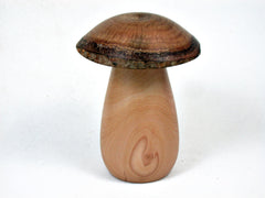 LV-3417 Red-Tip Photinia & Live Oak Wooden Mushroom Pill Box, Jewelry Box-SCREW CAP