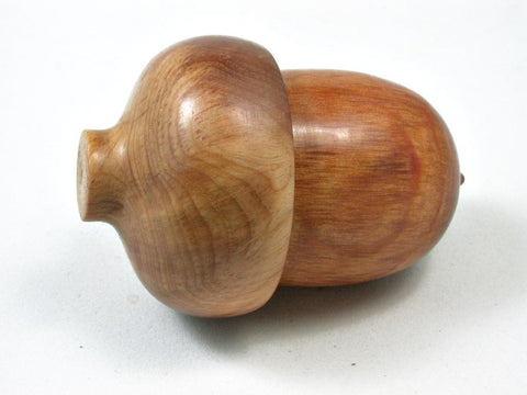 LV-2787  Raja Kayu & Ponderosa Pine Burl  Acorn Jewelry Box, Pill Box, Trinket Box-SCREW CAP