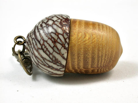 LV-2906 Osage Orange & Betel Nut Acorn Pendant Box, Keychain, Pill Fob-SCREW CAP