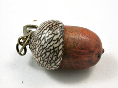 LV-2621 Pernambuco  & Betelnut Acorn Pendant Box,Bag Charm, Keychain-SCREW CAP