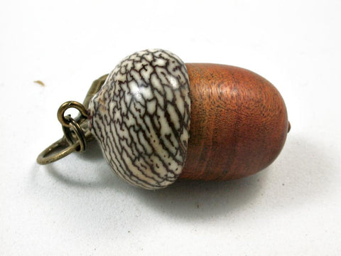 LV-2621 Pernambuco  & Betelnut Acorn Pendant Box,Bag Charm, Keychain-SCREW CAP