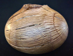 LV-0339 Palmer Oak  Wood Turned Pot, Hollow Form, Vase with Natural Edge