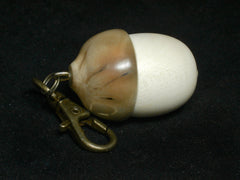 LV-1255 American Holly & Buriti Palm Nut Acorn Box, Keychain, Pill Fob, Memorial Pendant-SCREW CAP