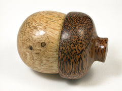LV-1586 Bougainvillea & Coconut Palm Acorn Trinket, Keepsake, Jewelry Box-SCREW CAP