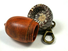 LV-1644 Sappanwood & Betelnut Acorn Key Fob, Pill Holder, Secret Compartment-SCREW CAP