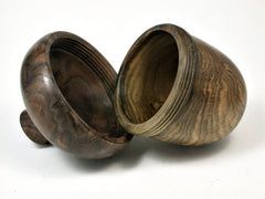 LV-1998 Wooden Acorn Box from Pistachio & Black Walnut Burl -LARGE