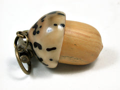 LV-2132 Acorn Pendant Box, Charm, Pill Holder from Lignum Vitae Sapwood & Raffia Palm Nut-SCREW CAP