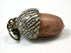 LV-2293 Yellowbox Burl & Betel Nut Acorn Pendant Box, Charm, Pill Holder-SCREW CAP