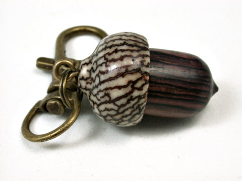 LV-2450 Camatillo & Betelnut Acorn Pendant Box, Charm, Pill Holder-SCREW CAP